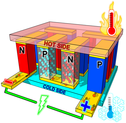 Phonon modes